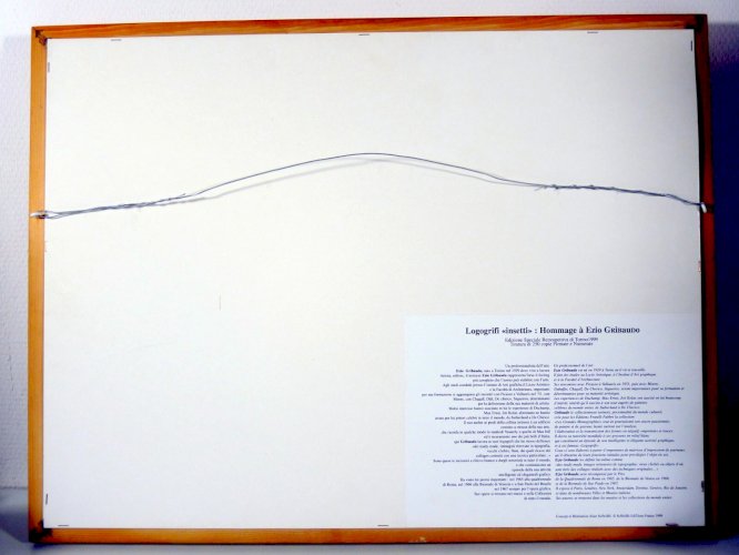 Ezio Gribaudo (1929 -) Logogrifi, logogriphe originale INSETTI - 1999 n° 7/99