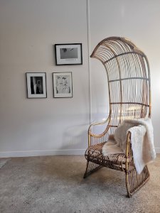 Rattan carrier chair