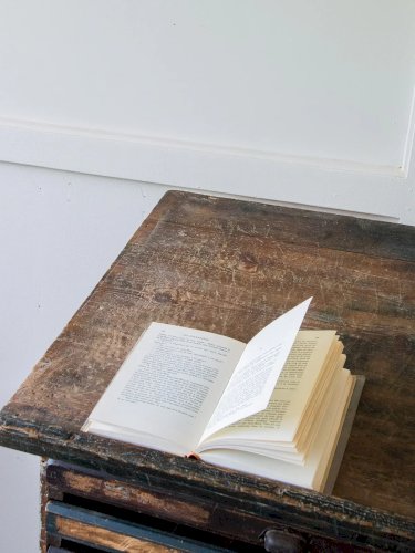 Fernand, le meuble de métier N°111