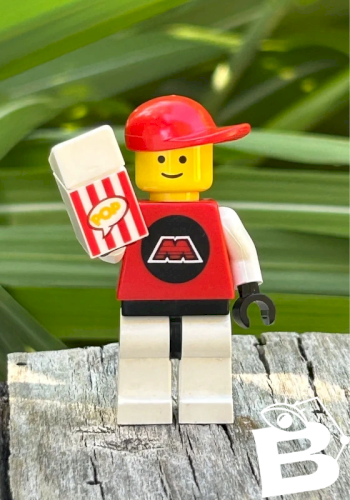 Figurine et accessoire Lego
