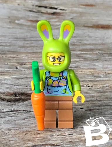 Figurine et accessoire Lego