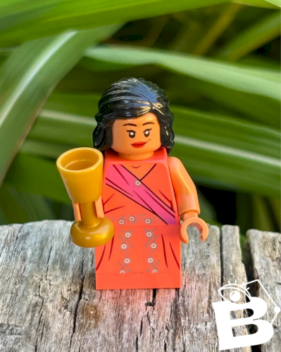 Figurine et accessoire Lego