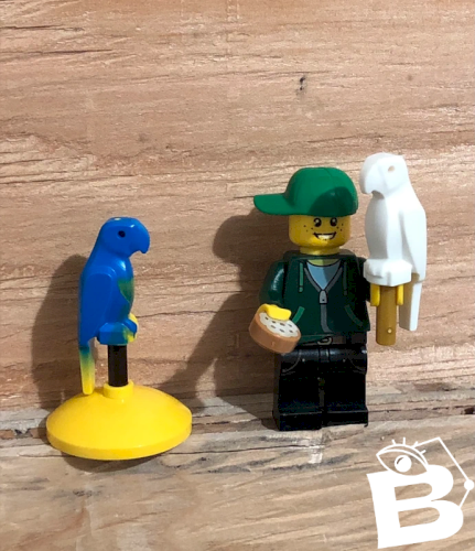 Figurine et accessoires Lego « Éleveur de perroquets »