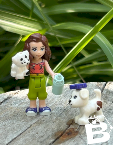 Figurine et accessoires Lego Friends