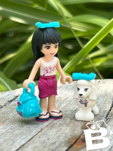 Figurine et accessoires Lego Friends