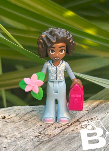 Figurine et accessoires Lego Friends