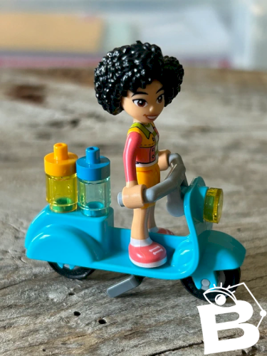 Figurine et accessoires Lego Friends