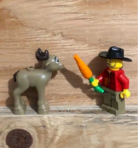 Figurine et accessoires Lego