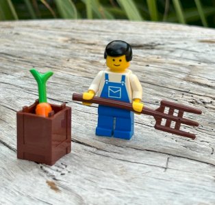 Lego figurine and accessories