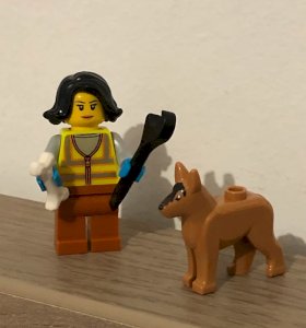 Figurine et accessoires Lego