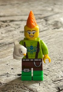 Lego figure and accessories