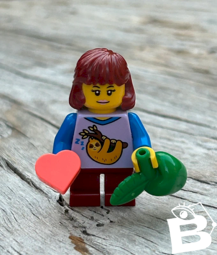 Figurine et accessoires Lego