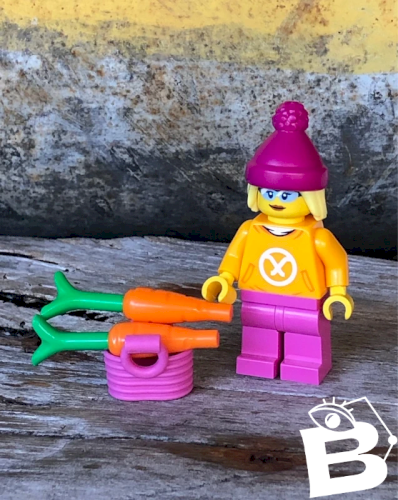 Figurine et accessoires Lego