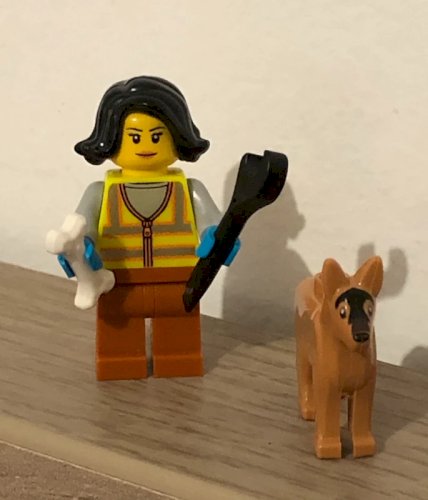 Figurine et accessoires Lego