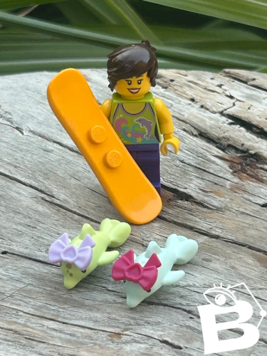 Figurine et accessoires Lego