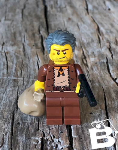 Figurine et accessoires Lego