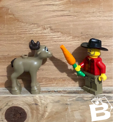 Figurine et accessoires Lego