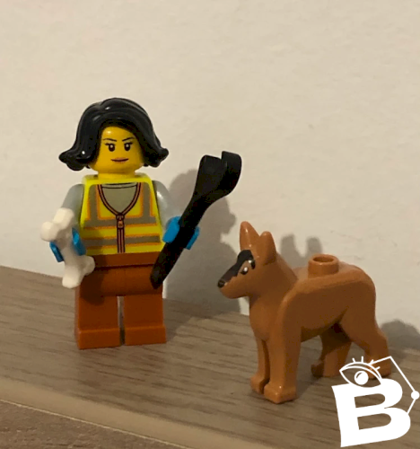 Figurine et accessoires Lego