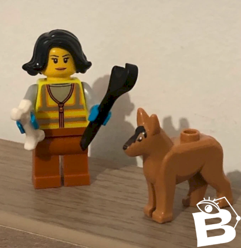 Figurine et accessoires Lego