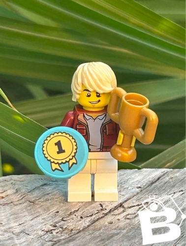 Figurine et accessoires Lego