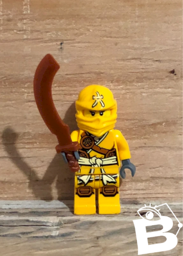 Figurine et accessoires Lego