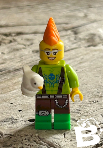 Figurine et accessoires Lego
