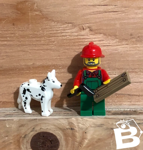 Figurine et accessoires Lego