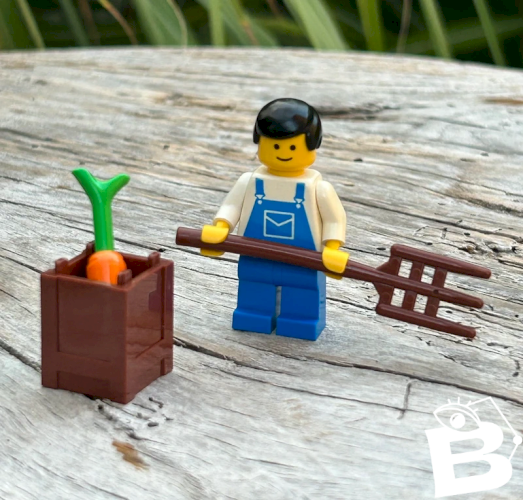 Figurine et accessoires Lego
