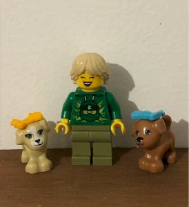 Figurine Lego et accessoires