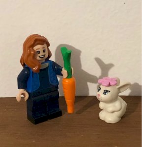 Figurine Lego et accessoires