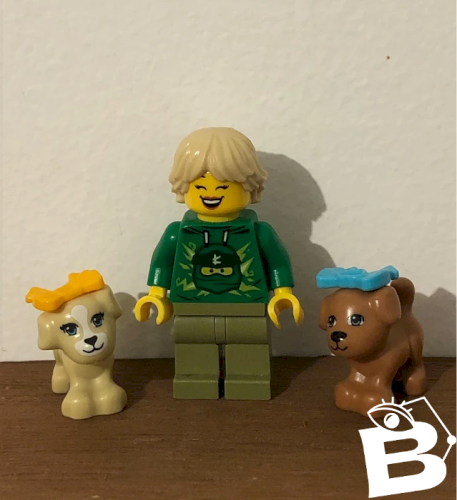 Figurine Lego et accessoires