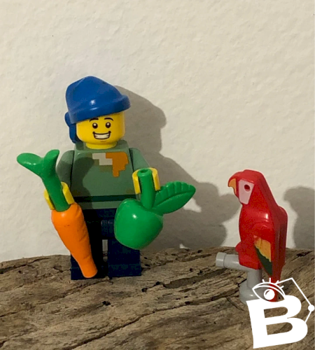 Figurine Lego et accessoires