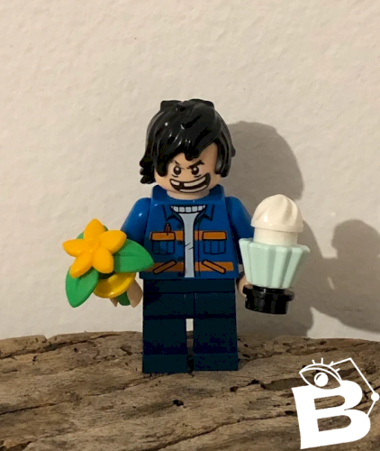 Figurine Lego et accessoires