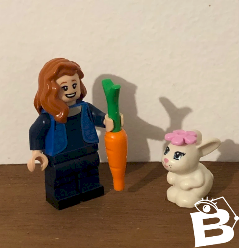 Figurine Lego et accessoires