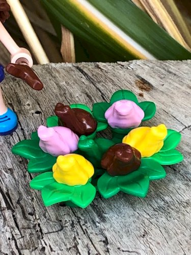 Figurine Lego Friends élève des grenouilles