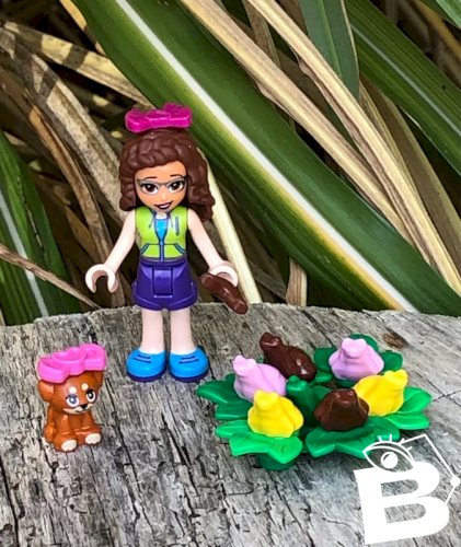 Figurine Lego Friends élève des grenouilles