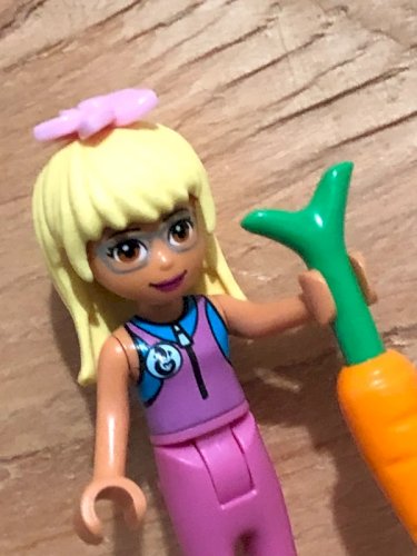 Figurine Lego Friends et accessoires