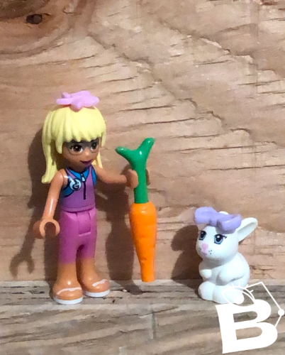 Figurine Lego Friends et accessoires