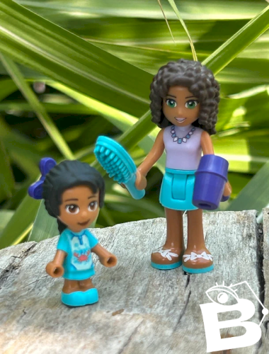 Figurines et accessoires Lego Friends