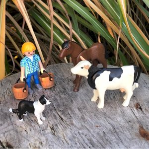 Playmobil figurines and accessories