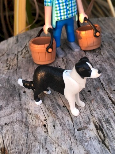 Figurines et accessoires Playmobil