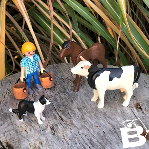 Figurines et accessoires Playmobil