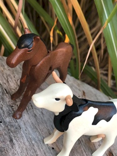 Figurines et accessoires Playmobil