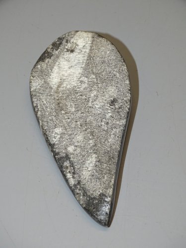 - FOSSILE D'ORTHOCERAS PIERRE COLLECTION mollusques céphalopodes VITRINE déco  D