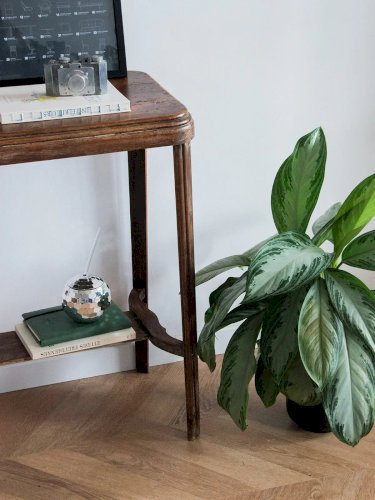 Francine, la table d'appoint en bois N°459