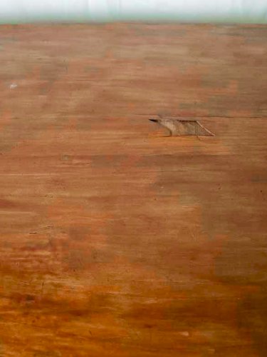 Francine, la table d'appoint en bois N°521