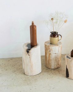 Francine, the petrified wood side table No. 399