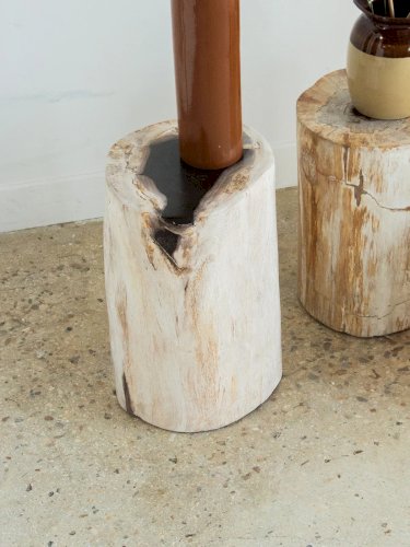 Francine, la table d'appoint en bois pétrifié N°399