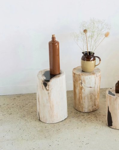 Francine, la table d'appoint en bois pétrifié N°399