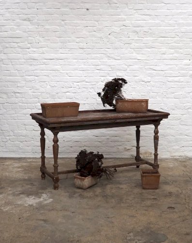 Francine, la table de fleuriste en sapin N°649